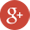 Google Plus icon