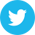Twitter icon